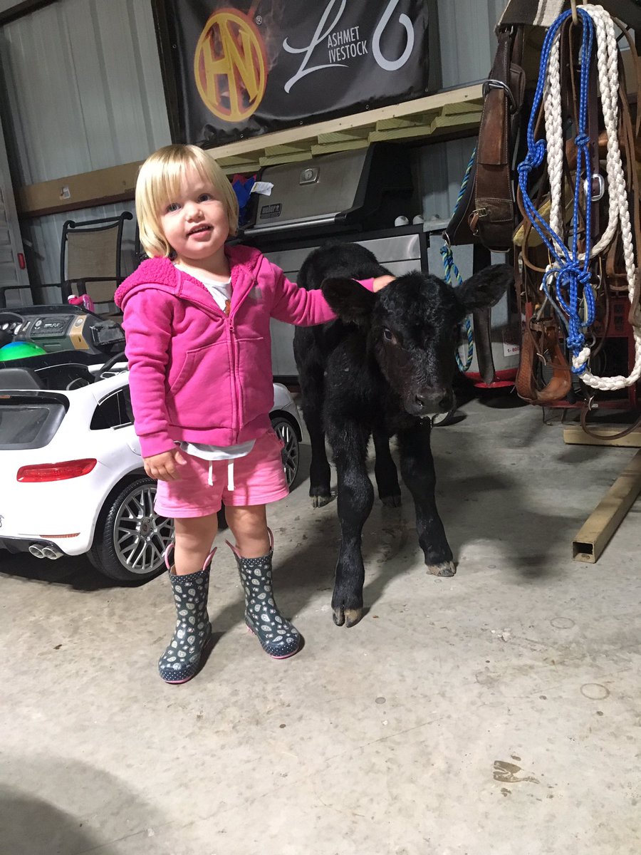 This little fella has a new caretaker and she’s not minding one bit! #farmkid #bottlecalf #ranchlife #farmlife #ranchkid #futurevet