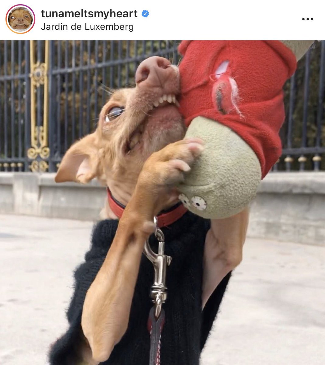 RandomWineChick's tweet image. Me holding on to Sunday for dear life before Monday rolls in #SundayScaries