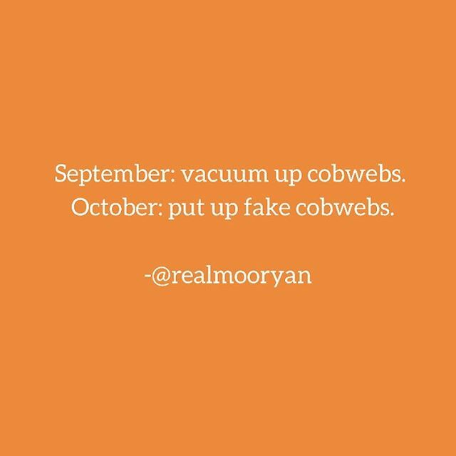 Halloween is scary because logic takes a break. 
#halloween #cobwebs #spiders #fallcleaning #funny #haha #no logic ift.tt/30Vpr9f