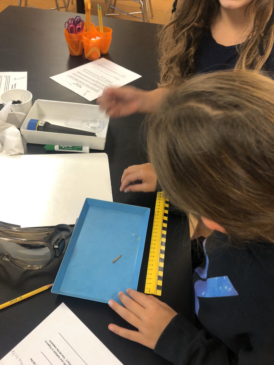 We had a blast ending lab with an erosion prevention challenge in 2nd grade and animal response tests in 4th grade!