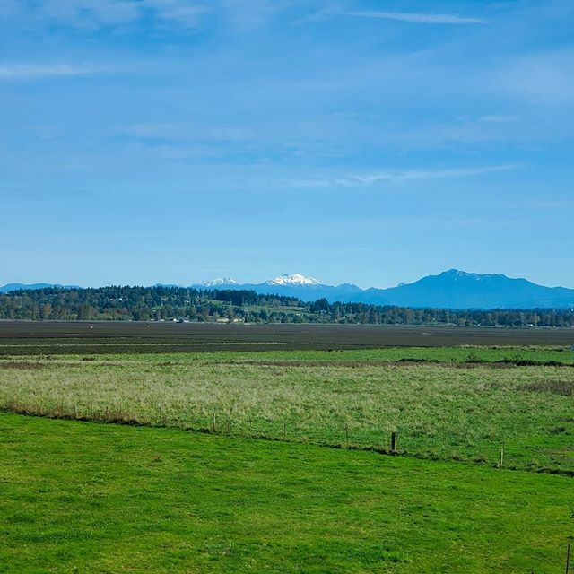 Bryan Lee Sonohomish River Valley Today Is A Sunny Autumn Day The Blueberries We Picked Here Early Summer Were Sooo Good シアトル 秋 景色 暖かい 谷 青空 T Co Bl5eaqskpz T Co Ossp3legdn