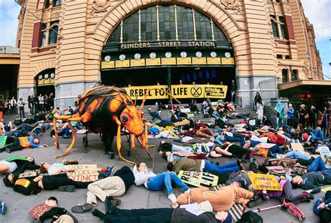 PoliBard's tweet photo. Needles in Grapes
Protesters blocking roads
Red Shirts in Parliament
Police faking breath tests & crime statistics
Child inmates bashing wardens
Crims on parole killing people
Judges won't jail ambo bashers
WHERE is the rule of law in Victoria?
#SpringSt #DodgyDan #LawlessLand https://t.co/6hE9Jvyowa