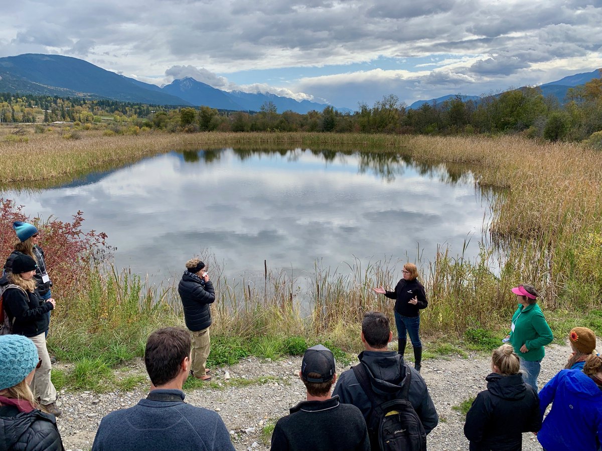 CVCEDO's tweet photo. #kootenayconservationprogram’s Fall Gathering was hosted at @CopperPointBC & the #ColumbiaWetlands over the weekend. The annual event brings together the best & brightest from across the Kootenays to share & learn about conservation projects.
#ColumbiaValleyBC #briscobc https://t.co/ZsKWTc7Zy4