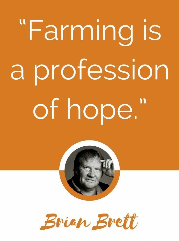 farmerscornerng's tweet photo. "Farming is a profession of hope." - Brain Brett

#farming #hope #profession #africanyouth #yaligoesgreen #foodforall #affordablefood #nourishment #motivation #transformag #farm365 #farmerscornerng https://t.co/WgkLV4SUDp