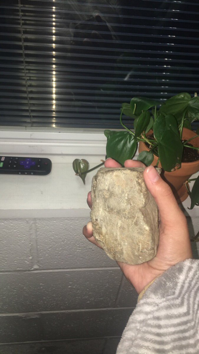 chloeebouch's tweet photo. The Rock: A Saga https://t.co/DcC1FDidPM