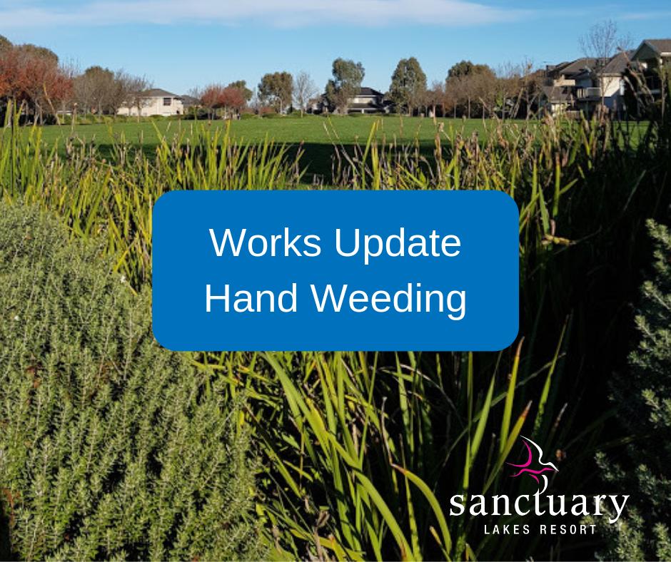 SanctuaryLakes1's tweet photo. This week our hand weeding team will be working in the Foreshore and South Haven areas
The Mambourin hand weeding team will be in Thurs&amp;Fri of this week and will work their way around the blvd 
Street tree planting is continuing
Tennis court retaining wall works are continuing. https://t.co/vgD7WlkyQg