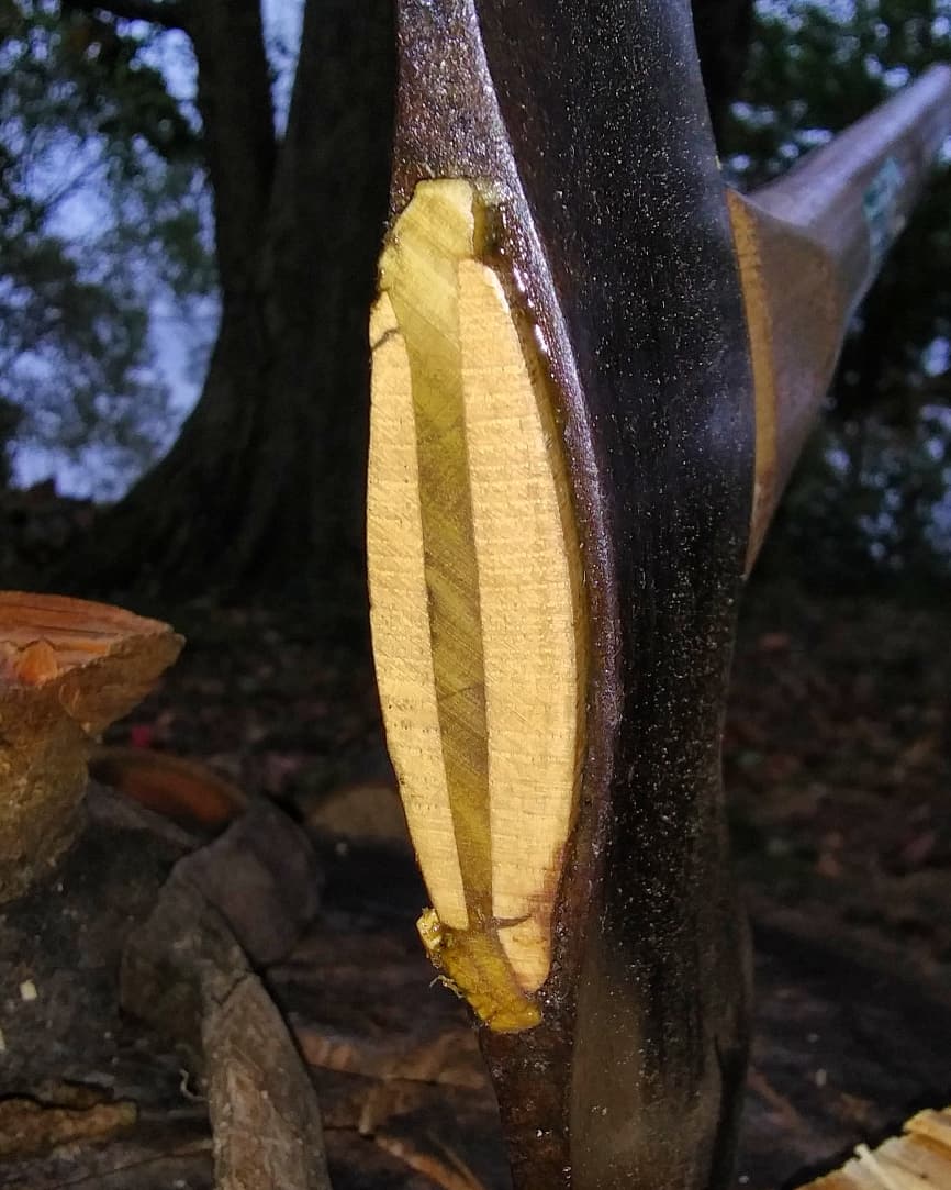 joepabike's tweet photo. Hung! 4lb. True Temper Kelly Works Flint Edge double bit michigan. I love cool axes! ๐จ๐ณ๐
__________________________________
#axejunkies #axes #axehounds #vintagetools #toolrestoration #toolrehabilitation #forestry #logging #bushcraft #woodcutting #imake #edgedtools #oldtools https://t.co/WAgSt4JiNM