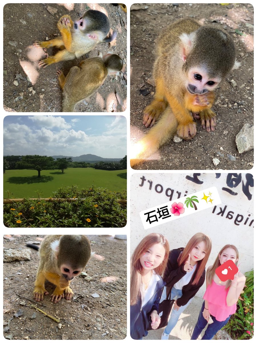 Kooto_24's tweet photo. 石垣島2泊3日女子旅🌺🌴🐠 https://t.co/k6GXhgQeN1
