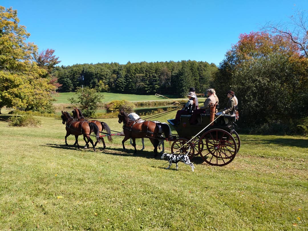 OldguyInspire's tweet photo. Saturday at Wethersfield in Amenia, NY. Beautiful estate, Wonderful people, incredible horses!! #4inhand #coaching #carriagedriving #horses https://t.co/by7Jkryca2