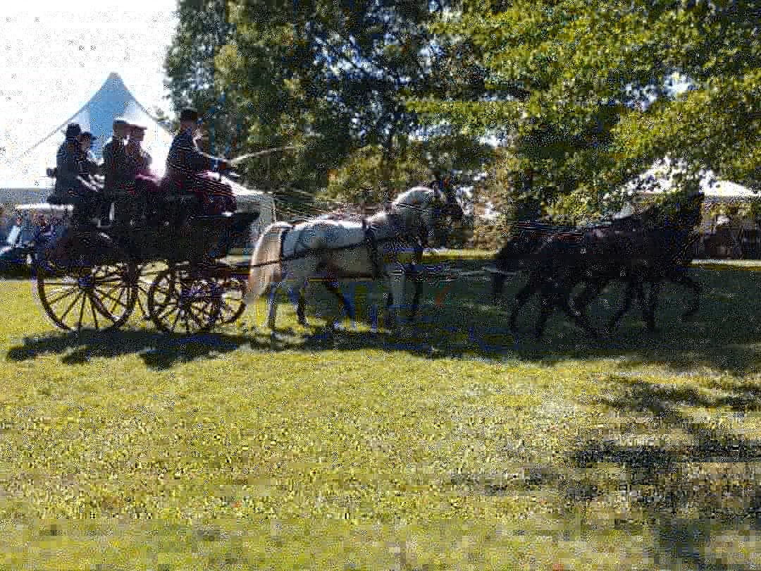 OldguyInspire's tweet photo. Saturday at Wethersfield in Amenia, NY. Beautiful estate, Wonderful people, incredible horses!! #4inhand #coaching #carriagedriving #horses https://t.co/by7Jkryca2