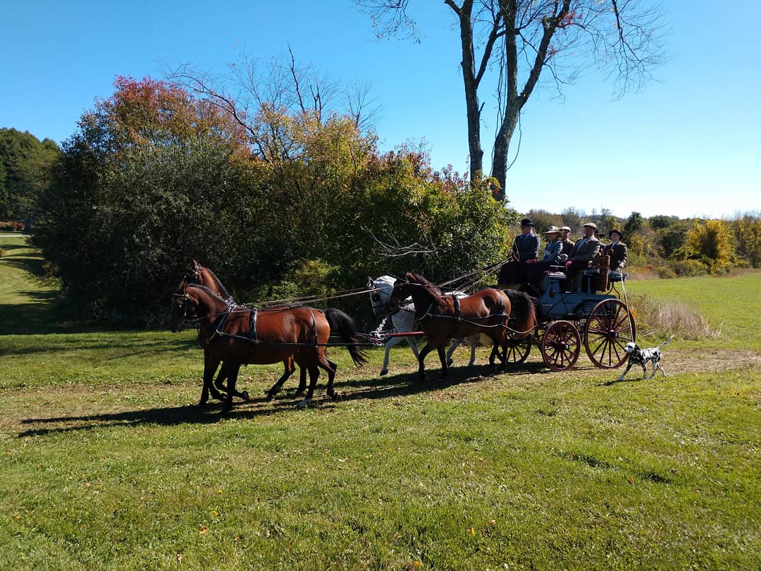OldguyInspire's tweet photo. Saturday at Wethersfield in Amenia, NY. Beautiful estate, Wonderful people, incredible horses!! #4inhand #coaching #carriagedriving #horses https://t.co/by7Jkryca2