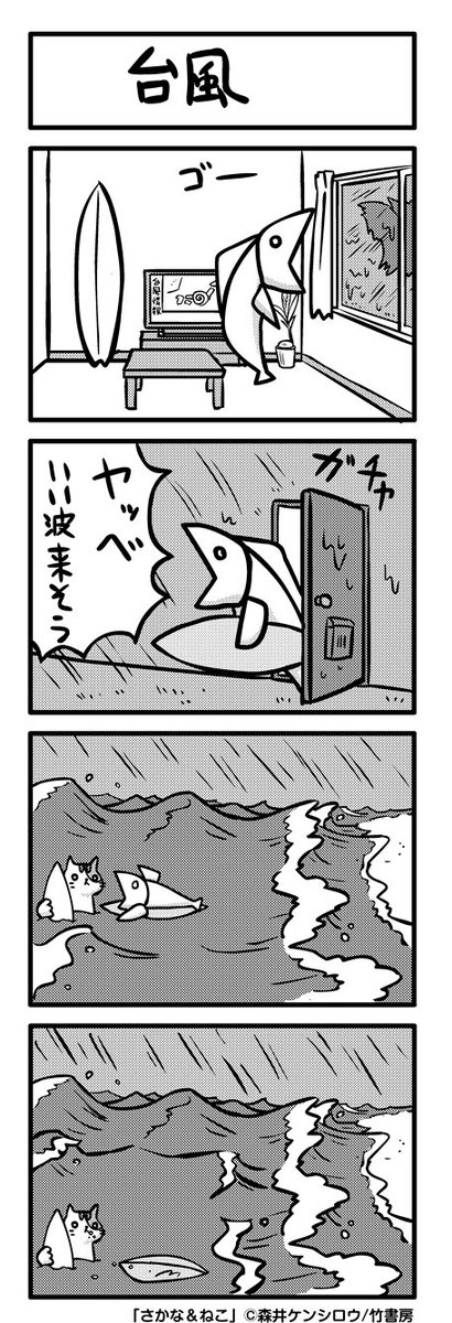 森井ケンシロウ さかな ねこ 台風 さかねこ ４コマ