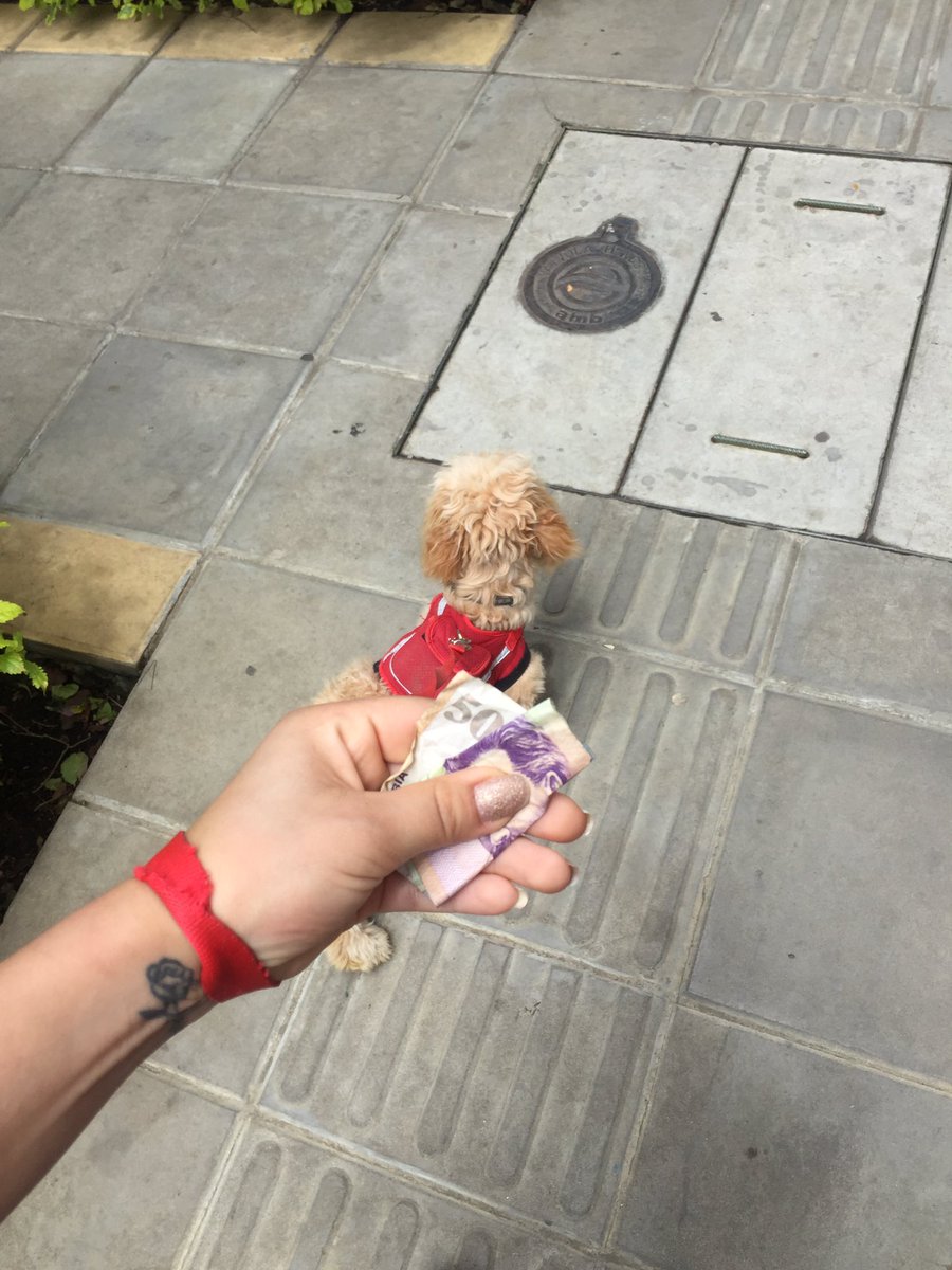 Natarojas4's tweet photo. Parce iba por la calle, pensando en cómo pagar unas cosas que debo y pummm me encontré un billete de 50k. Fav y rt pa que el milagrito le pase https://t.co/y7Sx8QzMIU