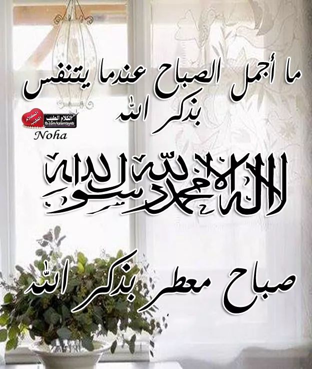 🌴 همسة الفجر 🌴

يقول أحد الصالحين :

إن لله وجوها من خلقه .. 
خلقهم لقضاء حوائج عباده ..
 يرون الجود مجدا .. 
والإفضال مغنما .. 
والله يحب مكارم الأخلاق .
اللهم اجعل هذا الصباح خيرا لنا ..
 مملوءا بالأجر .. 
مصحوبا بالعافية .. 
ومختوما بالمغفرة ..
 طاب صباحكم بالمحبة