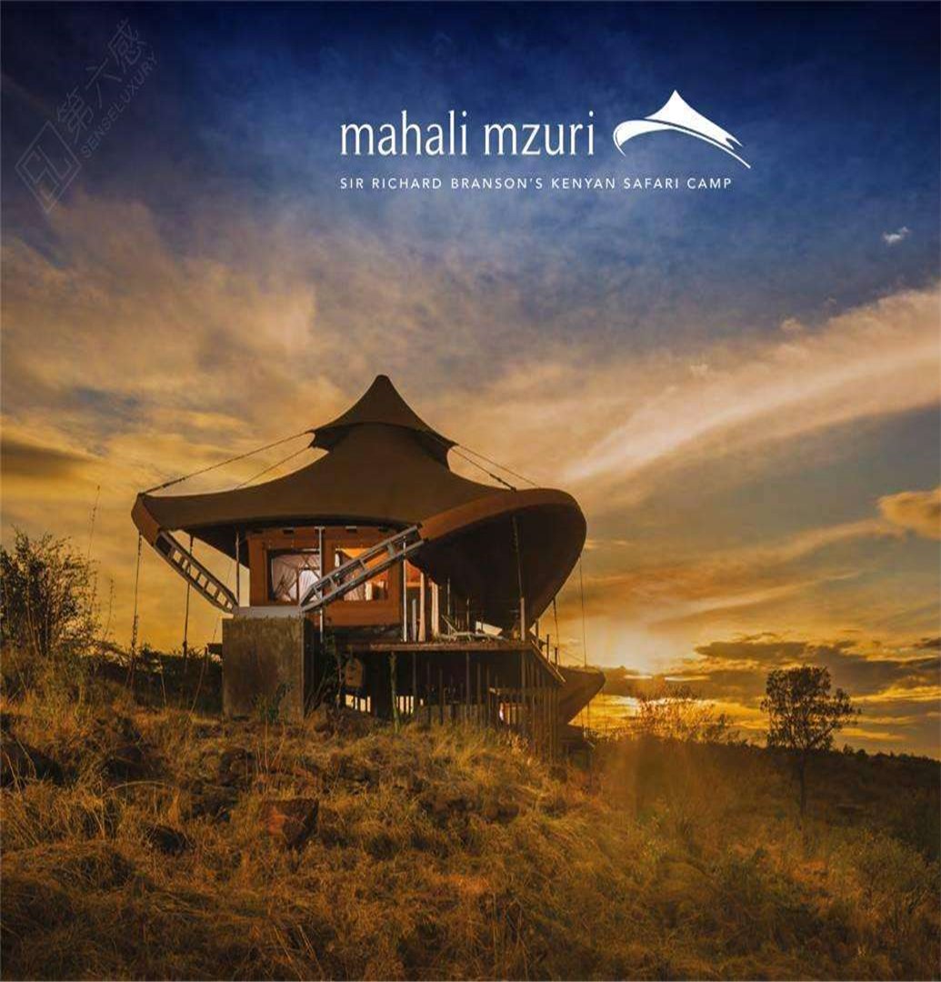 STAY IN LUXURY TENT AT MAHALI MZURI
.
.
.
Design & Build your Tented Villas, Pls Contact:
Email: sales@bdir.com
Whatsapp:   8618998941068
.
.
.
#luxuryglampingtents #glamping #glampingtents #luxurytents #belltent #luxurycampingtent #safaritentsforsale #safaritent #glamcamping