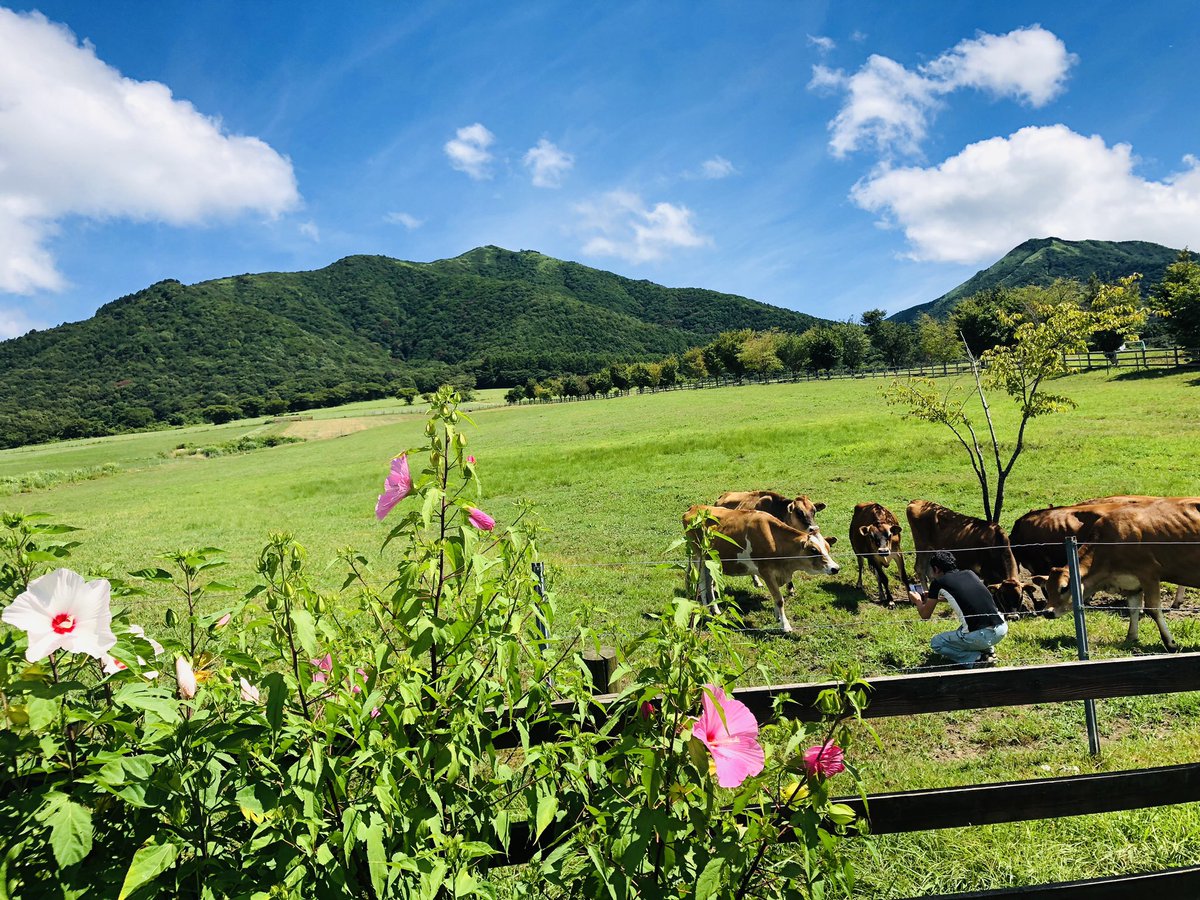 Chizucow's tweet photo. 蒜山が恋しいよ… https://t.co/41gD3zxLs6