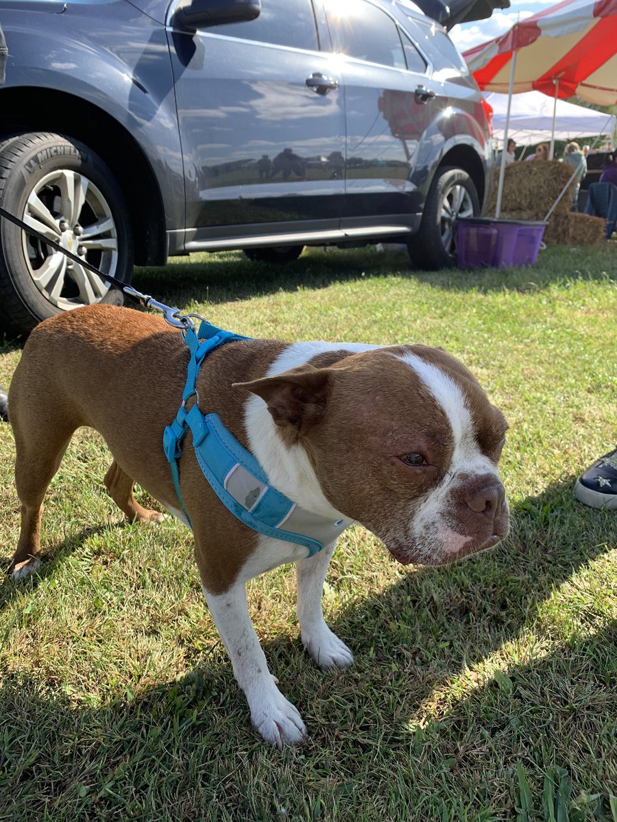 Kimdavis1919's tweet photo. Libre is really living his best life! ❤️😍❤️😍 #LibreStrong https://t.co/x8RmPgfevD