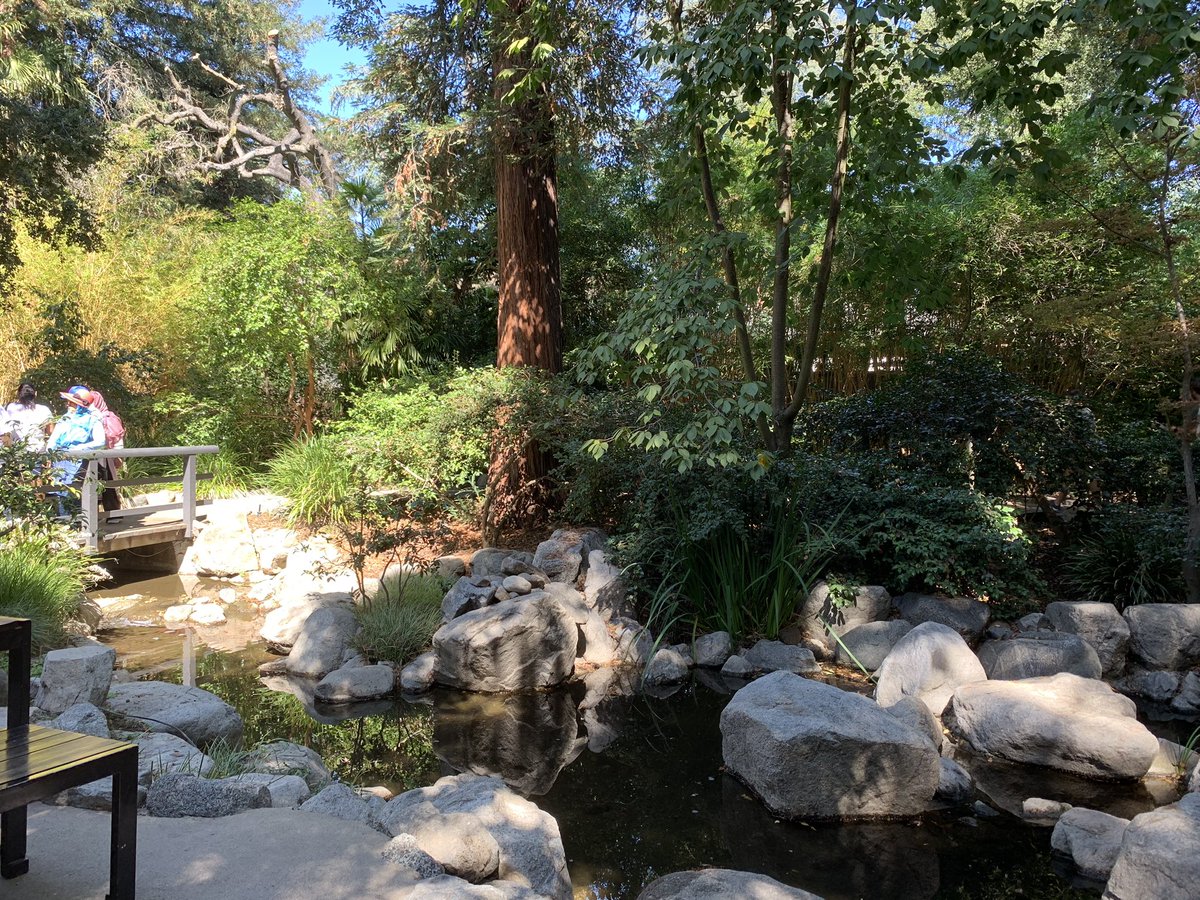 CITAFamily's tweet photo. Kid should also be led back outdoor more often, they are losing too much of their nature, not everything advanced and modern is better than the nature, from the perspective of education. #outdoorclassroom https://t.co/M8Xtx9Lwl0