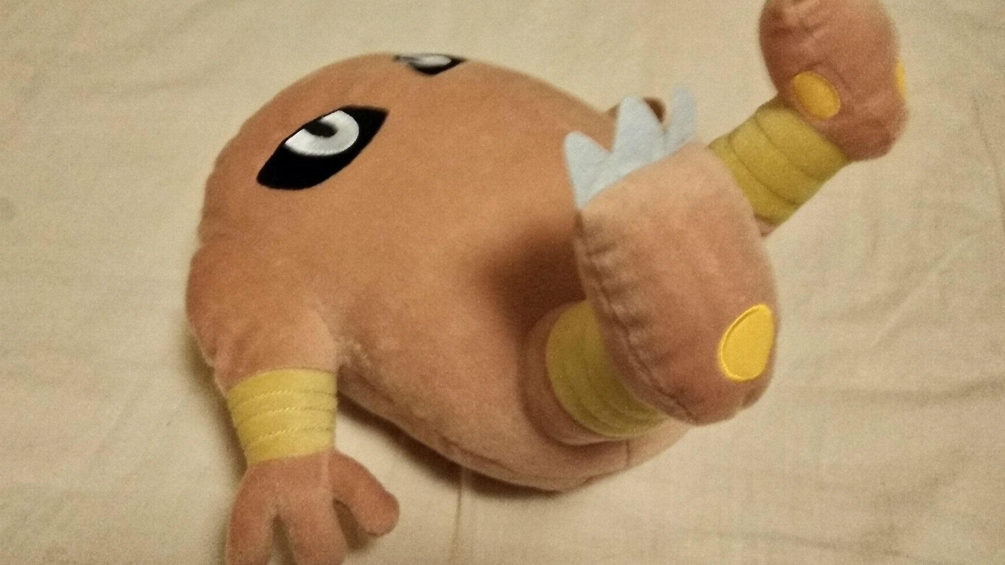 やきとり お母さんにサワムラーくん見せたらなんかコロッケみたいやなって言われちゃいましたけどね 弟は可愛さわかってくれた