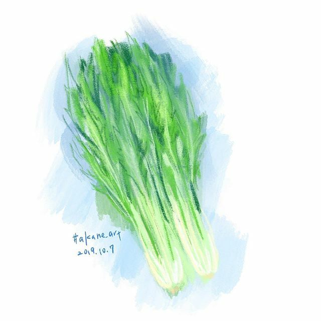 Akane Art Potherb Mustard Mizuna 水菜 Potherbmustard 野菜 Vegetable Akane Art イラスト Illustration Drawing Art Painting Procreate 一日一絵 Onesktchaday Onedrawingaday 365drawings T Co Tgwvm9ffwn