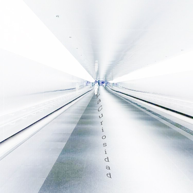 Reggaeton Japones (@ReggaetonJapan1) / Posts / X