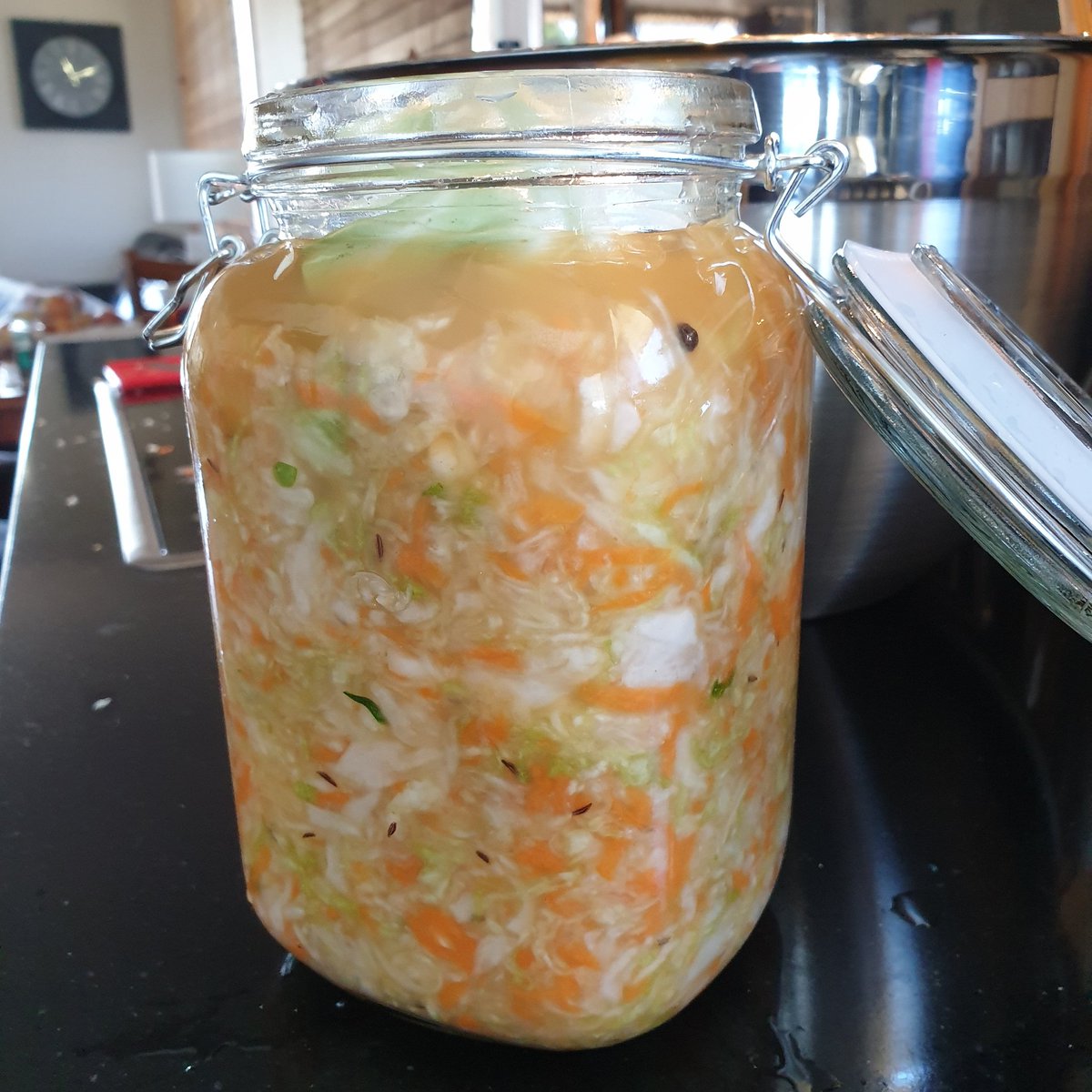 My first foray into the world of fermentation, sauerkraut! Cabbage, apple, carrot, cumin, caraway seeds and whole peppercorns #fermentedfoods #fermentation