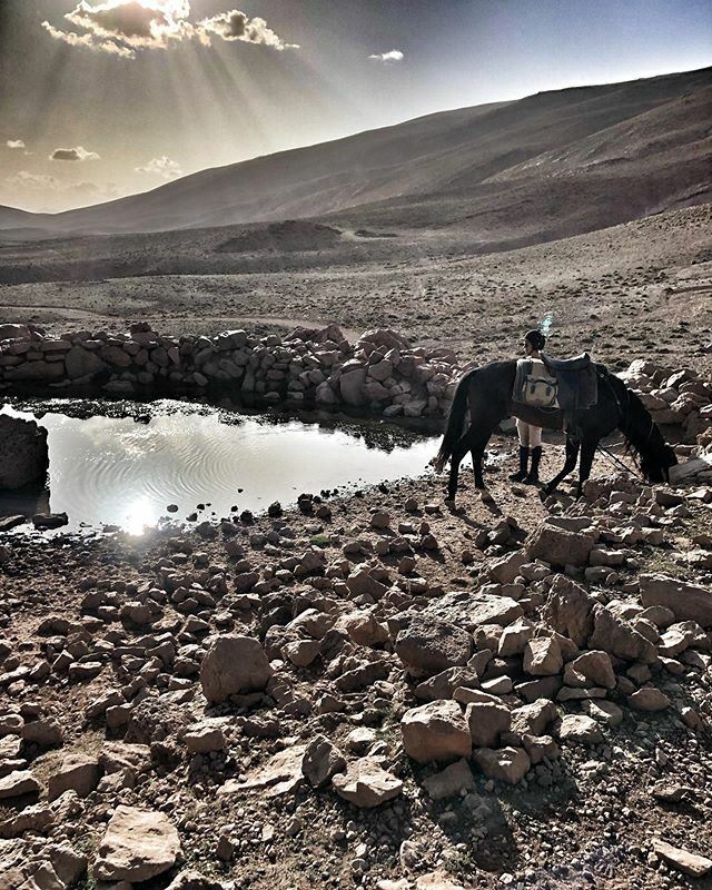 Dormir au milieu de nulle part avec son cheval, au plein cœur de l’Atlas, et profiter des ressources naturelles pour s’hydrater 🐴🇲🇦 Jour 2 •
•
•
#atlas #maroc #morroco #moroccotravel #discovery #découverte #cheval #horse #holidays #vacances #instagoo… ift.tt/2APP1Cc