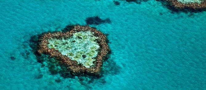 Because there is so much more to the Great Barrier Reef than spotting Nemo...🐠 

bit.ly/2rHLH9M