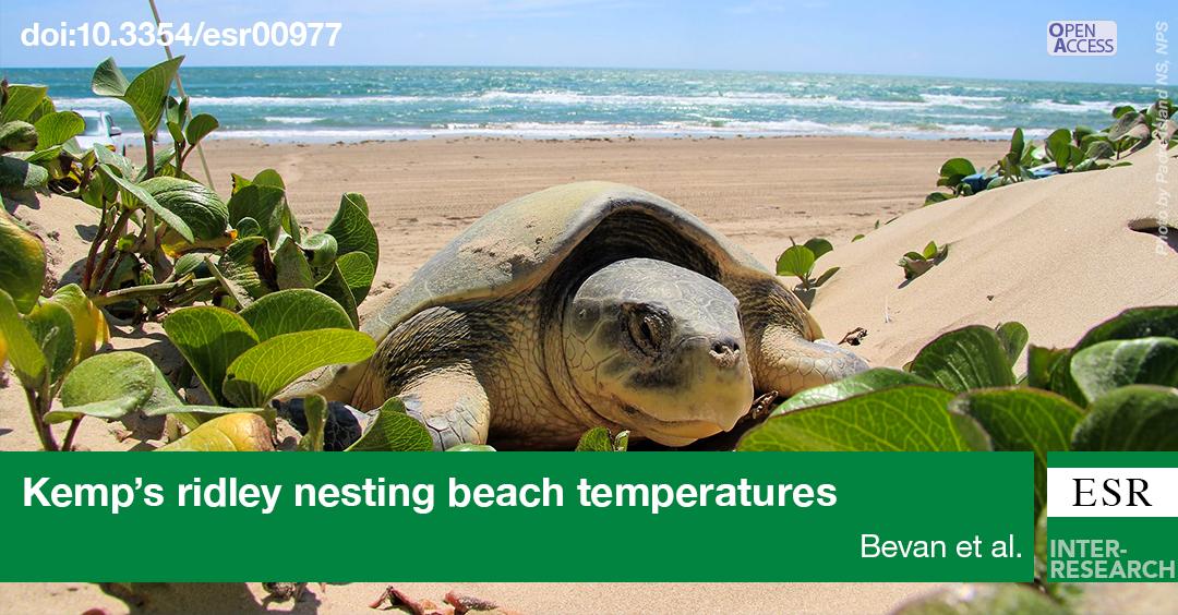 ESR_IR's tweet photo. Limited thermal profile revealed for #Kempsridley nesting range. Shift in nesting distribution unlikely to mitigate #climatechange. Find out more @ESR_IR https://t.co/6fLMhKcj4i https://t.co/X1vZ80JohV