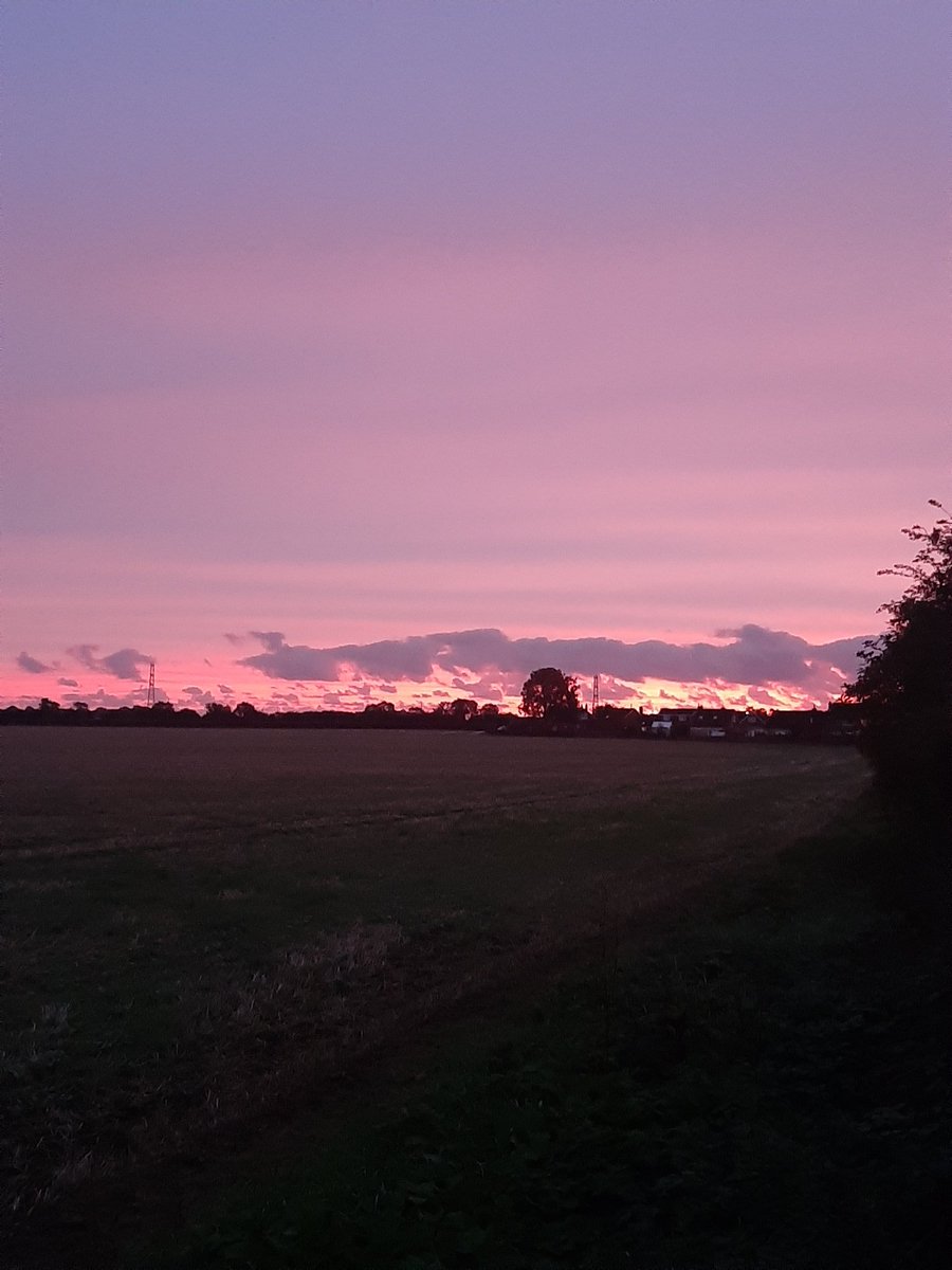 georgina_hadi's tweet image. Beautiful across the fields this morning #countrysideview