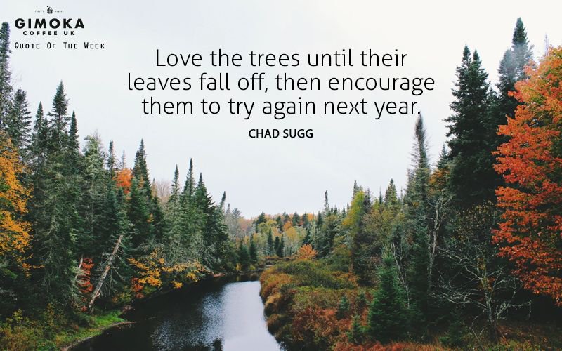 Good morning #coffee lovers! ☕️ Start this beautiful day with coffee and motivational  #Gimoka coffee #quoteoftheday 😁