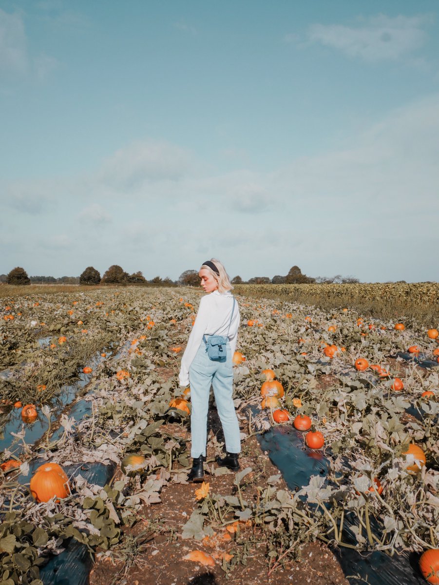 stylepeaches's tweet image. Styling @KiplingGlobal Teddy Crossbody bag for a spot of pumpkin picking ✨

bit.ly/2AQzmCI

#kiplinglivelight #KiplingVintage #vintage