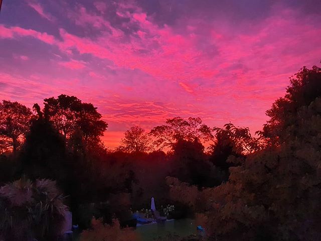 edwardknight01's tweet photo. #SunRise #NoFilter #London https://t.co/HqJ78OIKz6 https://t.co/zfveL66NDx
