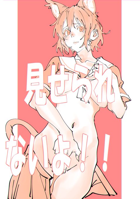 表紙これでいこうかな(^^ゞ 