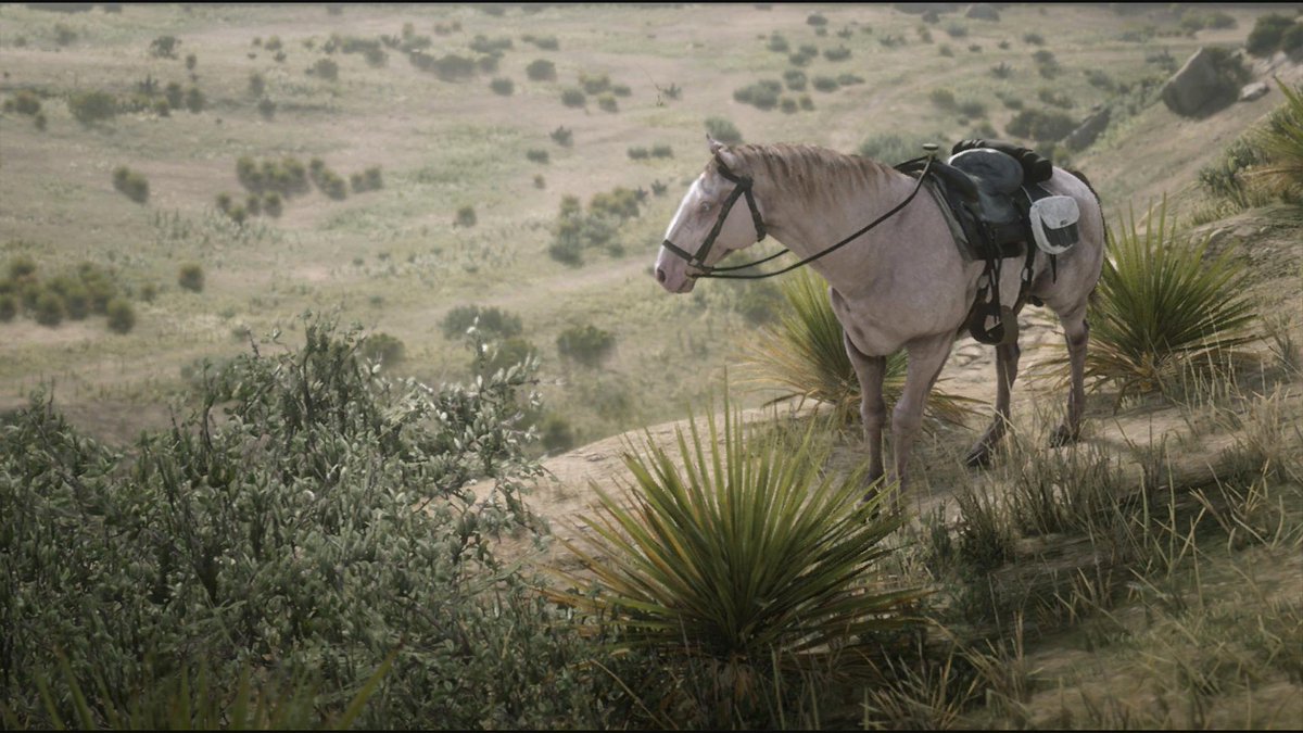 ShyYoshi's tweet photo. My other horse, Vali. 0.0
#RDR2 #RDOnline
#ARTESnapmatic
#PinkTrash
#SnapmaticArt/#SnapArtCrew https://t.co/ZYFRlHjp59