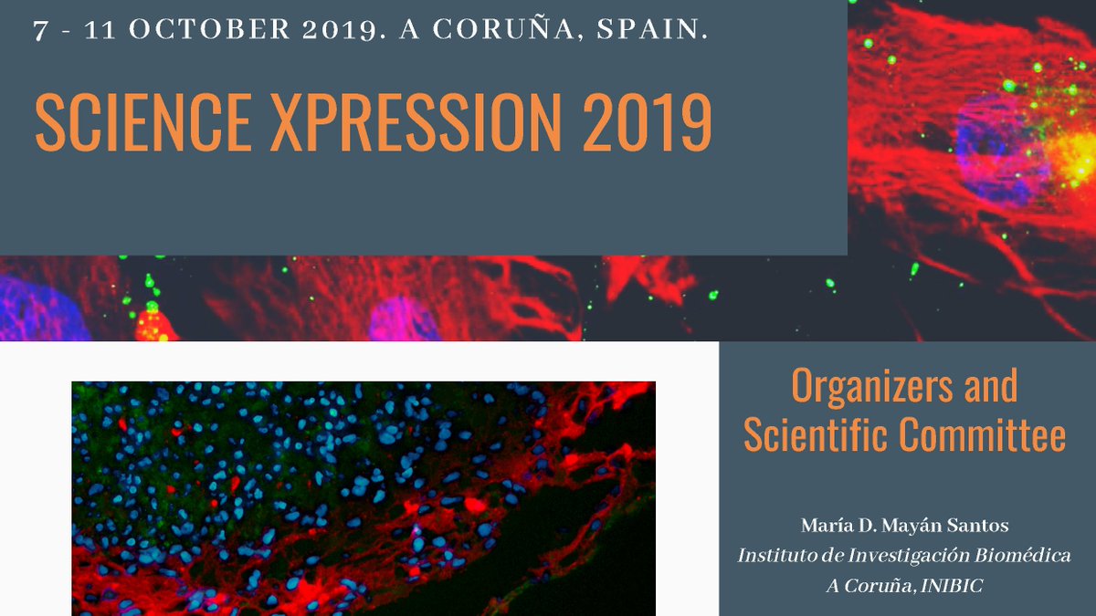 CICAUDC's tweet photo. 📣Hoy acogemos en el #CICAUDC la primera sesión del taller impartido por el Dr. Mathieu Vinken @VUBrussel en el marco del congreso @ScienceXpress

Día:7,9y10 oct
Hora: 16:00 a 19:00 h

Inscripción: https://t.co/d4NkmDnWj7

#INIBIC #TheCompanyofBiologistUK
https://t.co/0IxCGQ7CfL https://t.co/WCntLin2YS