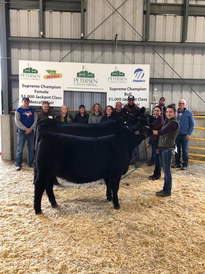 Congrats to the Supreme champion bull and female at Metcalfe Fair.
Sponsorship provided by Petersen Custom Farming,DekalbSeed and Maizex Seed
Thank you to all the organizers for such a great show.