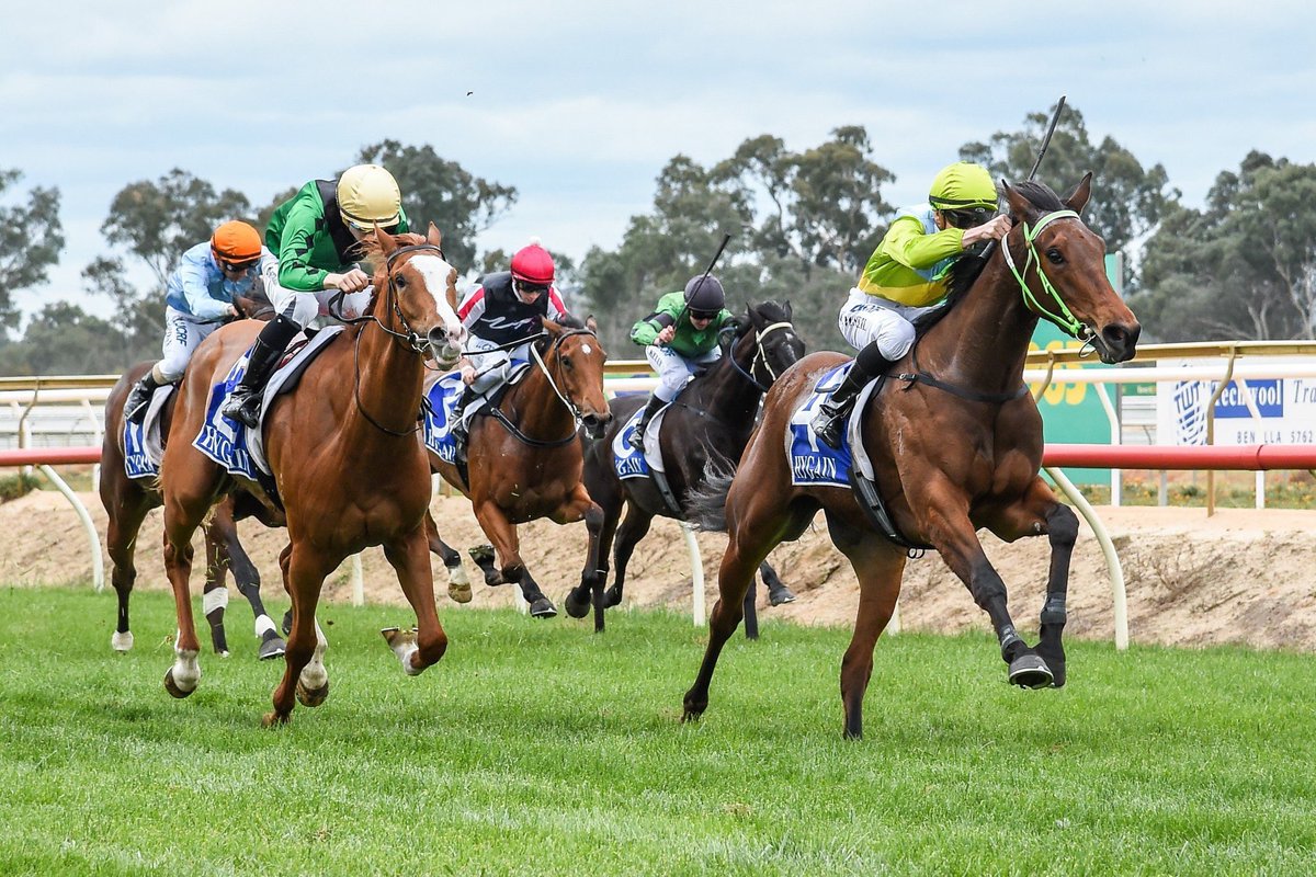SLY SAMBA DEER TAKES THE 12 PTS IN THE HEAT OF THE RISING STARS SERIES TODAY AT BENELLA. BUT NOT WITHOUT THE HEART STOPPING FINISH🙈 THANKFULLY LOGAN HAD PINCHED ENOUGH BREAK AND HELD ON TO WIN BY A NOSE. CONGRATS TO ALL INVOLVED🏇🏇🏇🙌🙌👌👌 <a href="/Logan_McNeil2/">Logan McNeil</a> <a href="/Racing/">Racing.com</a>