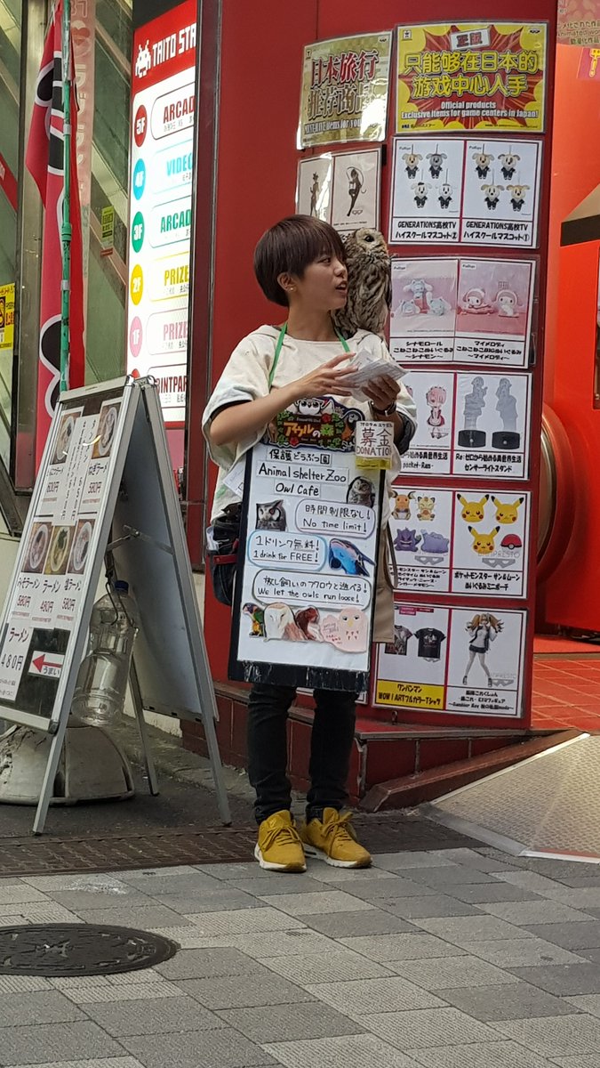 ozkarSte's tweet photo. @Frank_Cuesta quiero saber su opinión, le pregunté pero no habla inglés es como un refugio zoo café o algo así Pero tener al buo en la calle a las 4:30 pm no sé. En Akihabara Japón y arriba del buo hay focos de luz muy fuertes. Bueno y las gente lo usa para tomarse fotos también. https://t.co/xQXnCGYlng