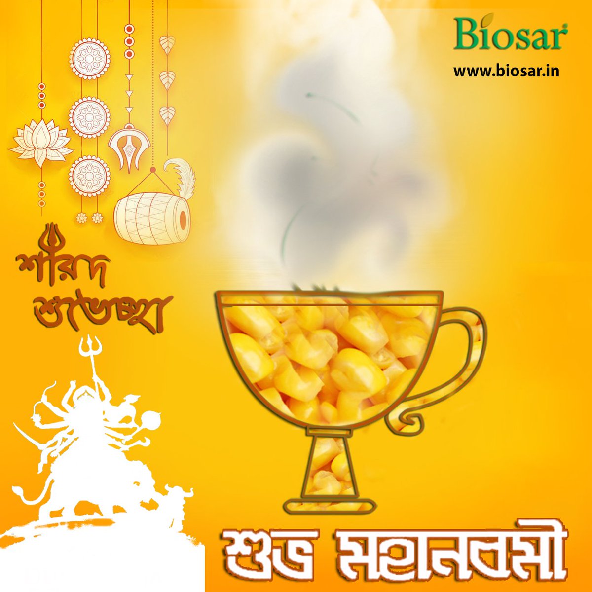 Biosar_IN's tweet photo. Biosar wishes Shubho Maha Navami. https://t.co/ZVOffpSpYW