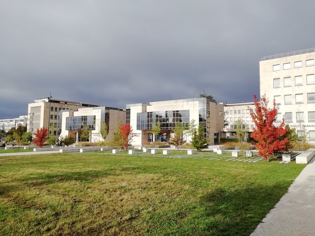 RealSci_Nano's tweet image. Getting back to science, this is the Auditorium Gutenberg where I had one of my first conferences, SPP3 the conference on #surfaceplasmon. @Plasmonica