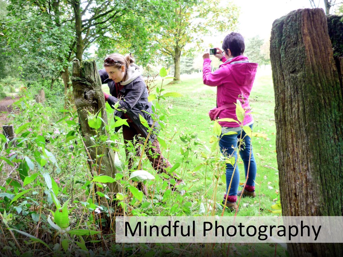 human-nature tweet media