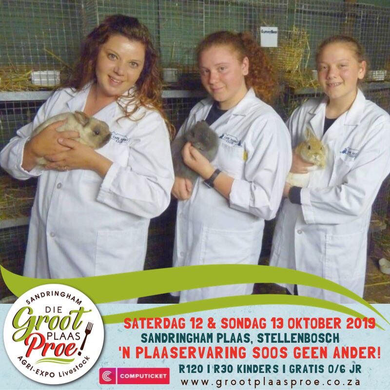 AgriExpo1's tweet photo. LEER SAAM MET @martelizebrink & @johanrademan1 OOR #HASE EN #KONYNE wanneer die #FluffBuckets" van #Melkbosstrand vanmiddag (Maandag 7 Oktober) om 12:35 in die @zarsg. Kom kuier ook by die Cape Rabbit Club se Lente-kampioenskapskou tydens die #GrootPlaasproe & #AgriExpoLivestock. https://t.co/kZipajQGbc