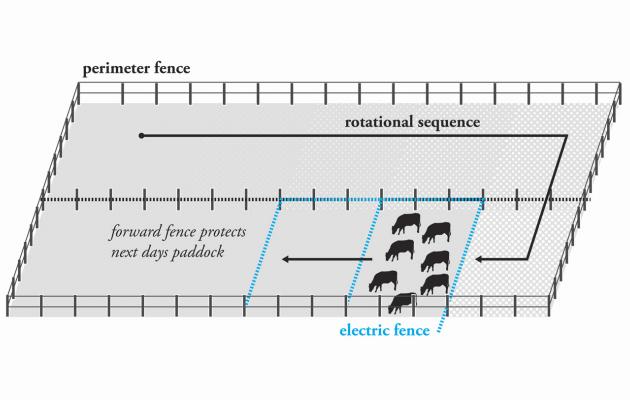 Latest article on #theplanjournal about #sustainability is “Expanding the Field: Virtual Fencing as Responsive Landscape Technology” > bit.ly/2ZovHuy #agricultural_technology #design#ecological_design #responsive_landscapes  @Architetti_com @MaurizioSabini  @KnowltonOSU