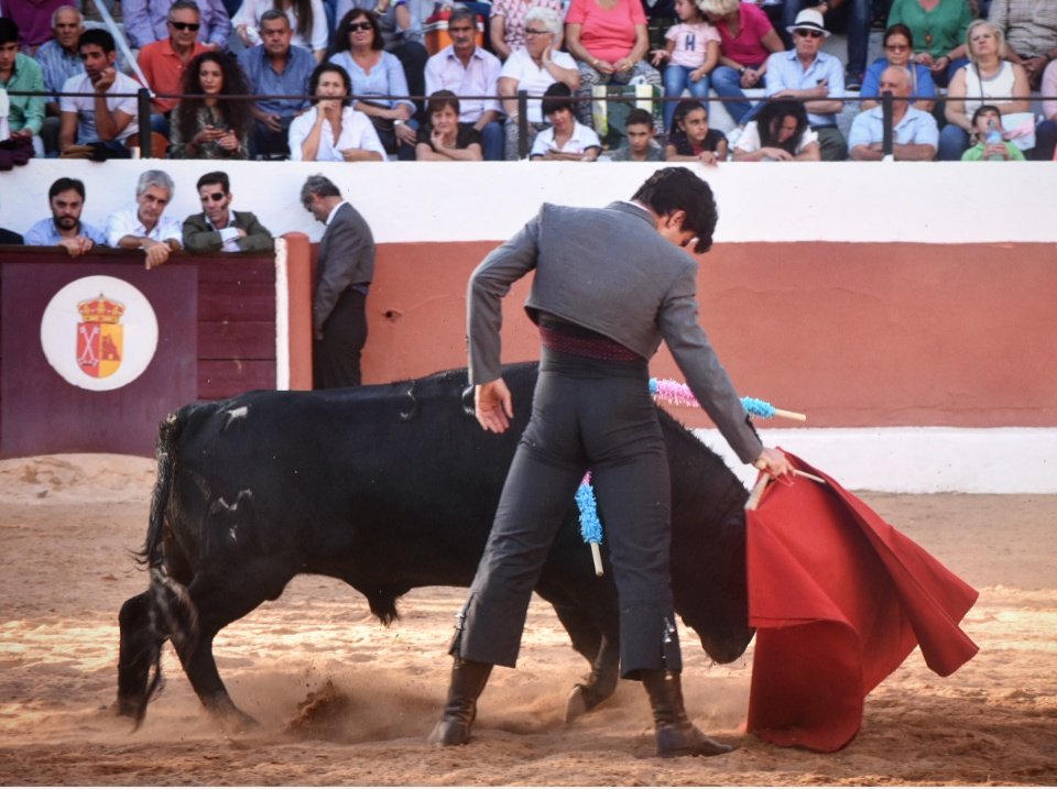 Hermanito, no sabes lo feliz y lo orgulloso que estoy!!! 💪🏼 Has tenido el privilegio de sentirte torero por un día y de qué manera... 

Yo también disfruté con mi <a href="/LosSamueles/">SamuelFloresToros</a> 😉 

¡GRACIAS, POVEDILLA! 

#TÑT🧨