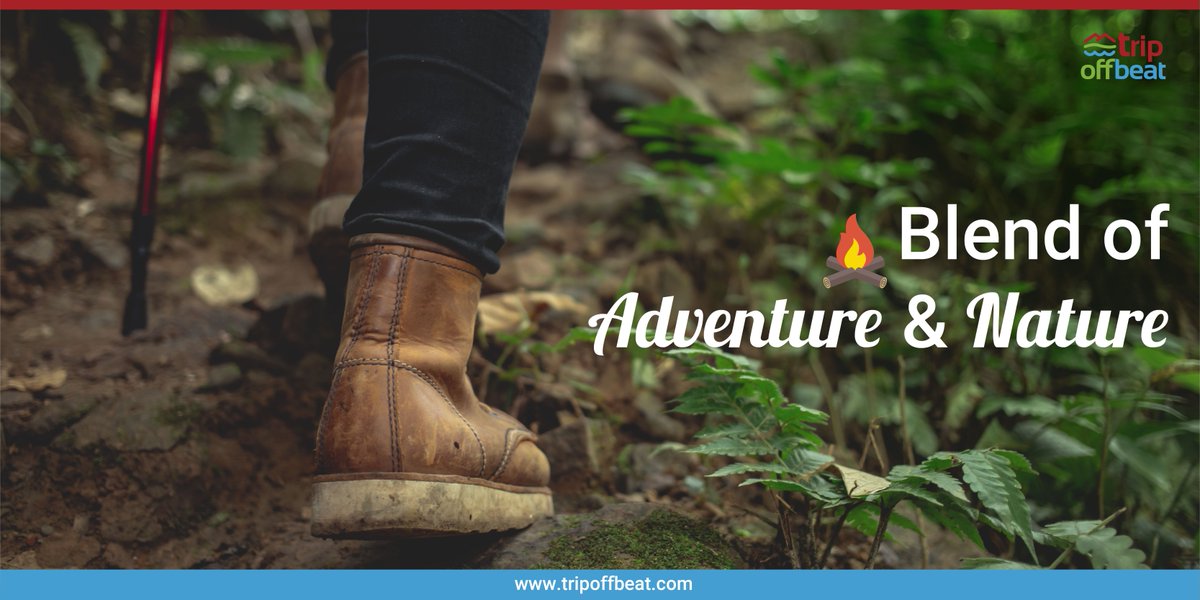TripOffBeat's tweet photo. Trekking is a form of walking, undertaken with the specific purpose of exploring and enjoying the natural beauty. So go on this essential journey of adventure with your partner. Reach us at  https://t.co/d7JJxHqKaT https://t.co/9RQdIODXHT