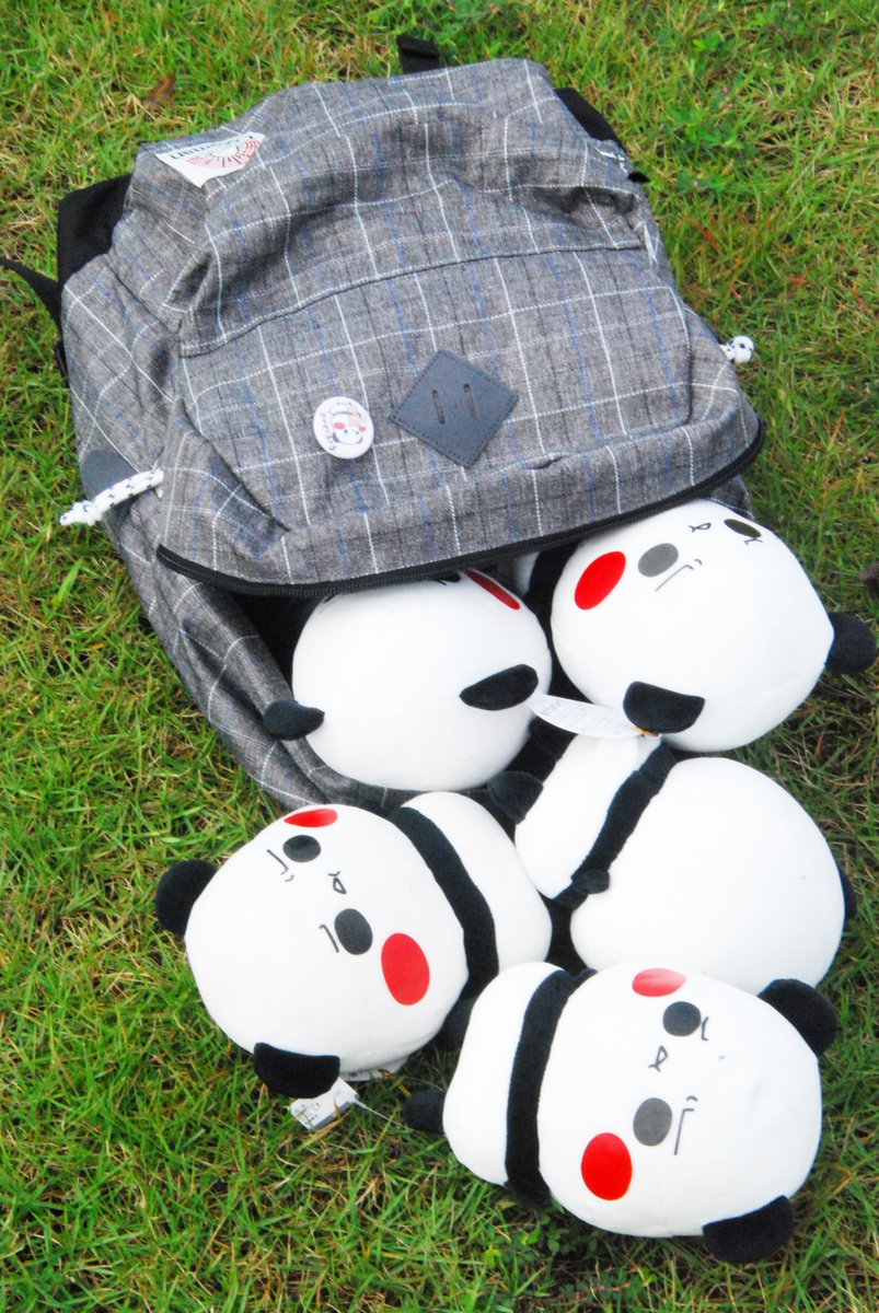 パンダさん工房 (@panda3kb) / Posts / X