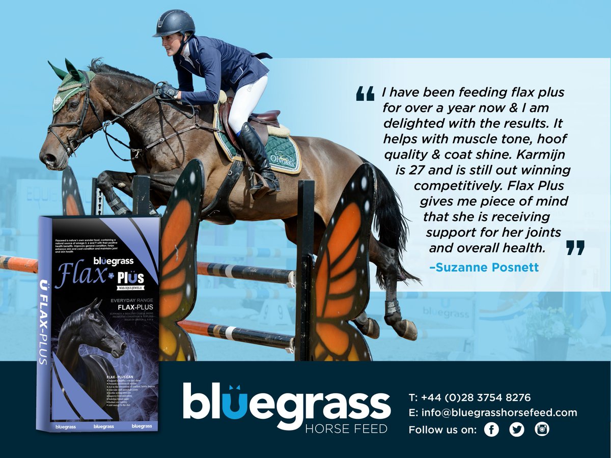 BluegrassFeeds's tweet photo. BLUEGRASS FLAX PLUS 🌸
Did you Know??
Bluegrass Flax Plus contains both Flaxseed and Equi-Jewel
Karmijn owned by Bluegrass Brand Ambassador @SuzannePosnett maintains her condition and topline by adding Flax Plus to her feed each day 💪
#Poweredbybluegrass #flaxplus #superkarmijn https://t.co/OG49zhusKu