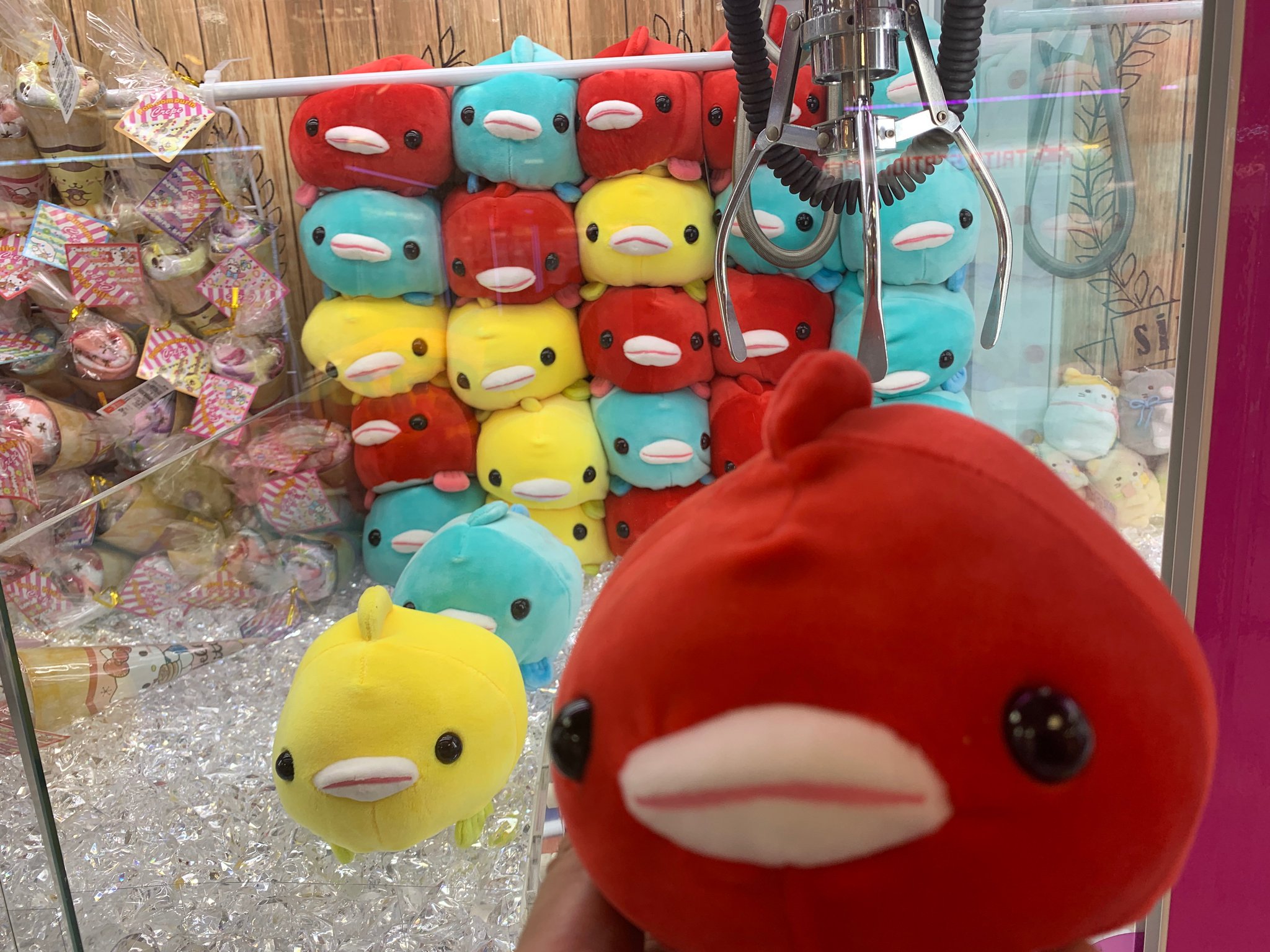 シマヤン 木曜に新宿南口で見たクチビルぬいぐるみ が気になって 週末方々見て回ったけどどこにもなく きょうあらためて最初に見たお店で確認しました ゲッチュウしたから間違いなし 笑 日本オート玩具のもちぷに ダンゴウオcuteぬいぐるみ でした