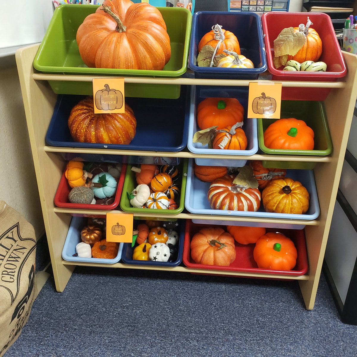 kbtigercubs's tweet photo. Fall has hit and it is time for some pumpkin patch fun in Pre-K at TCE. Thank you to parents for the pumpkin donations! #TCRoars #LISDPK #dramaticplay #pkpages https://t.co/BaxBqCTMFq